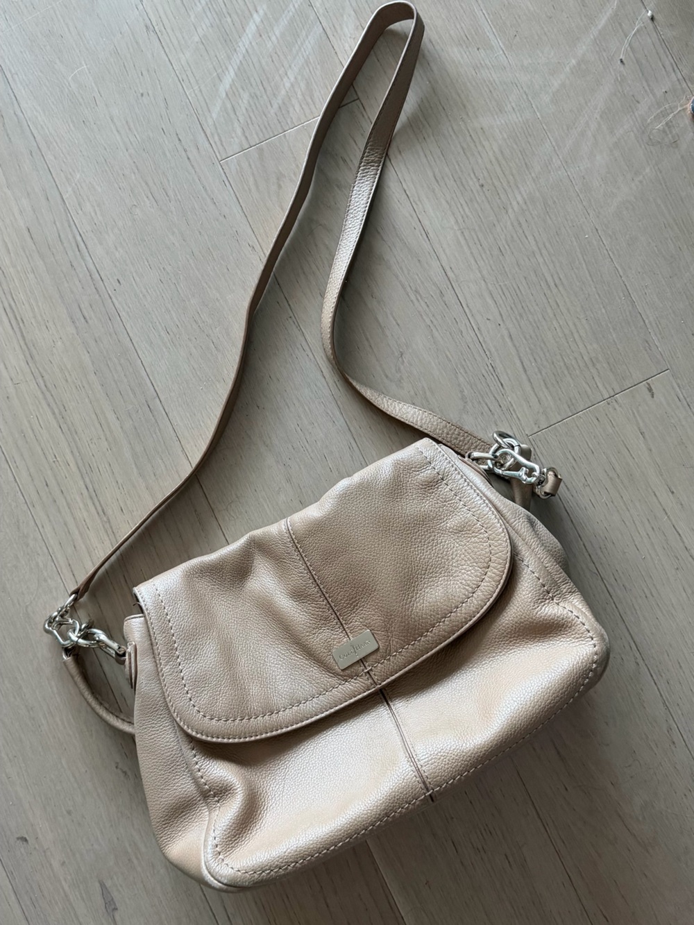 Cole Haan Metallic Pearl Crossbody Shoulder Bag